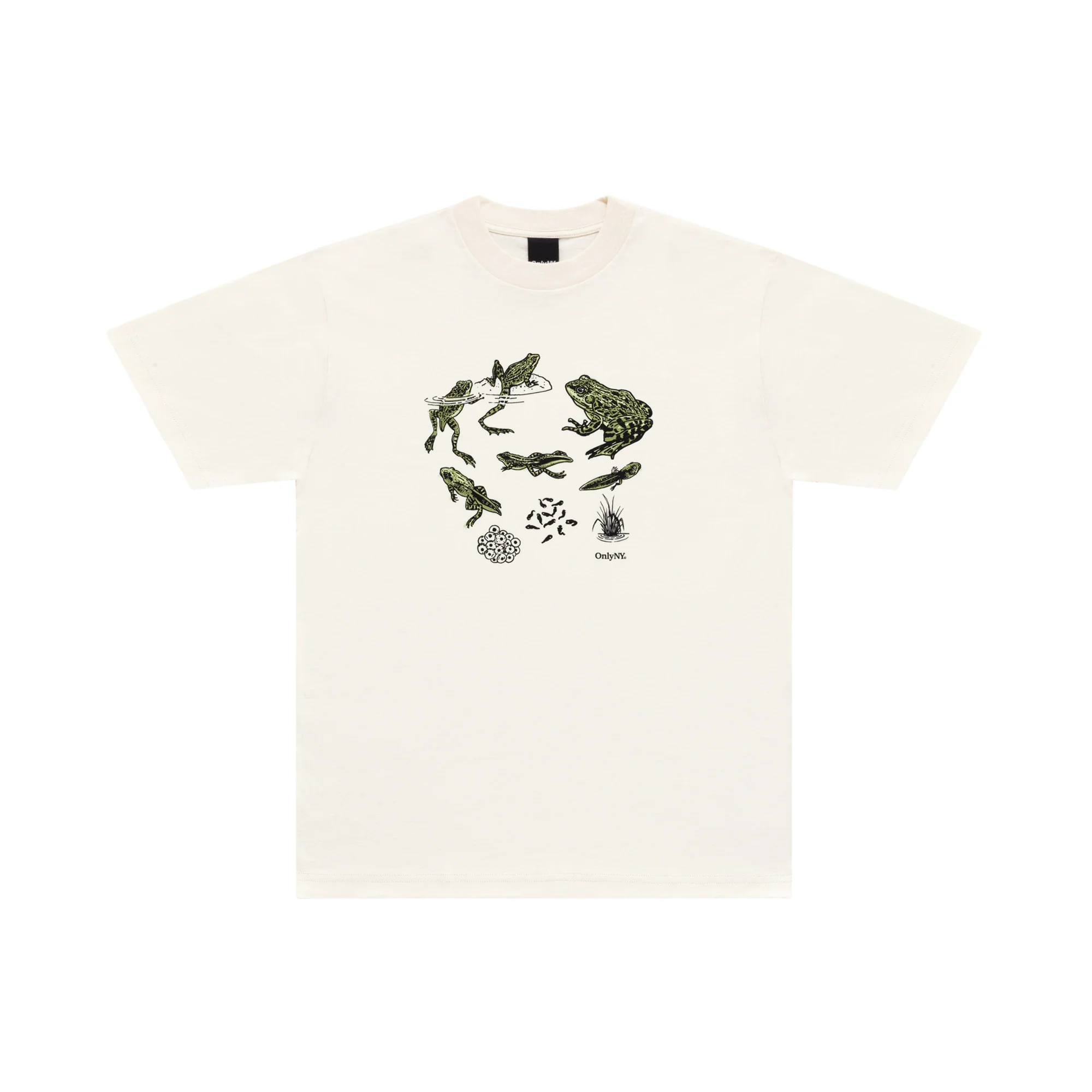 Frog Life Cycle T-Shirt