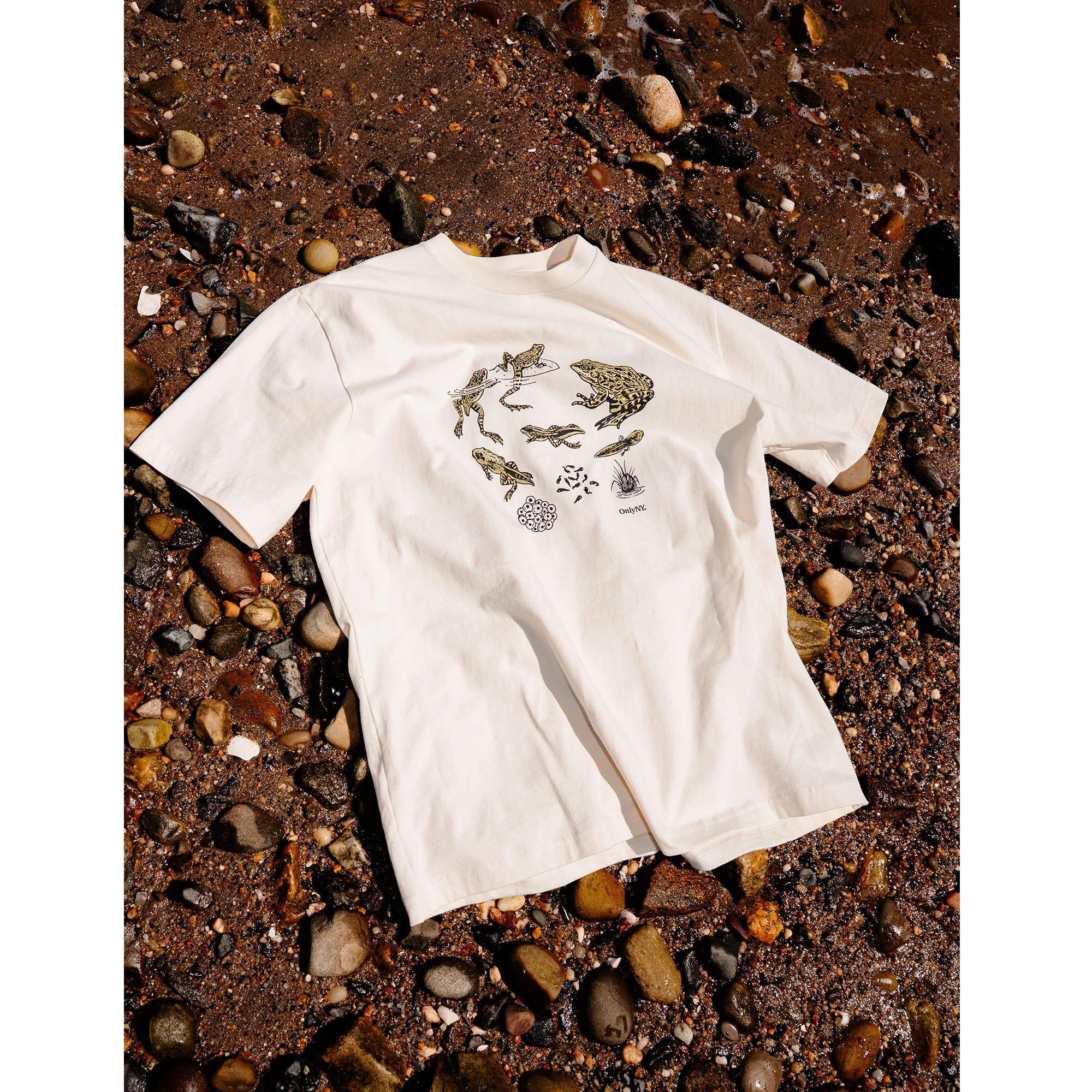 Frog Life Cycle T-Shirt - Image 2