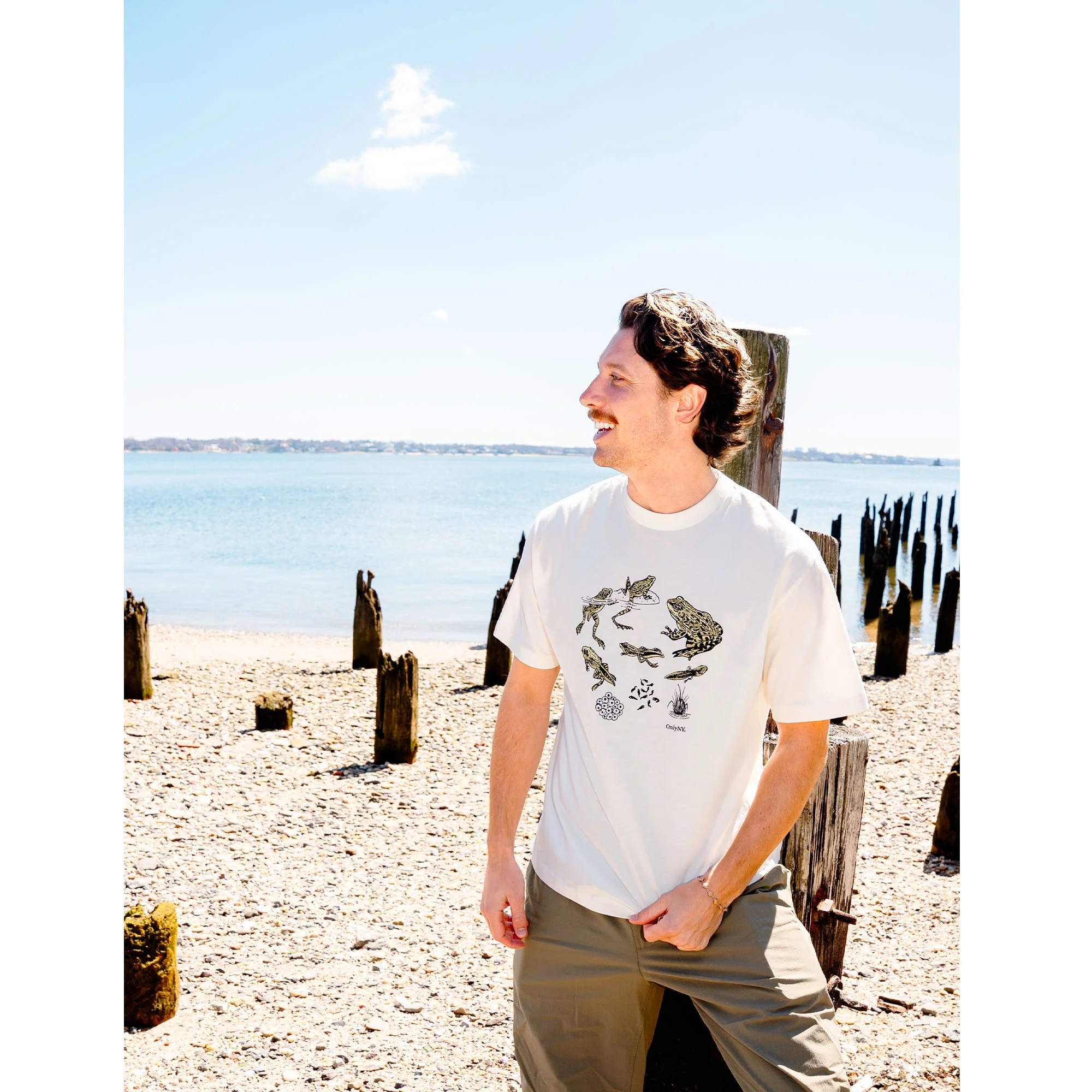 Frog Life Cycle T-Shirt - Image 4