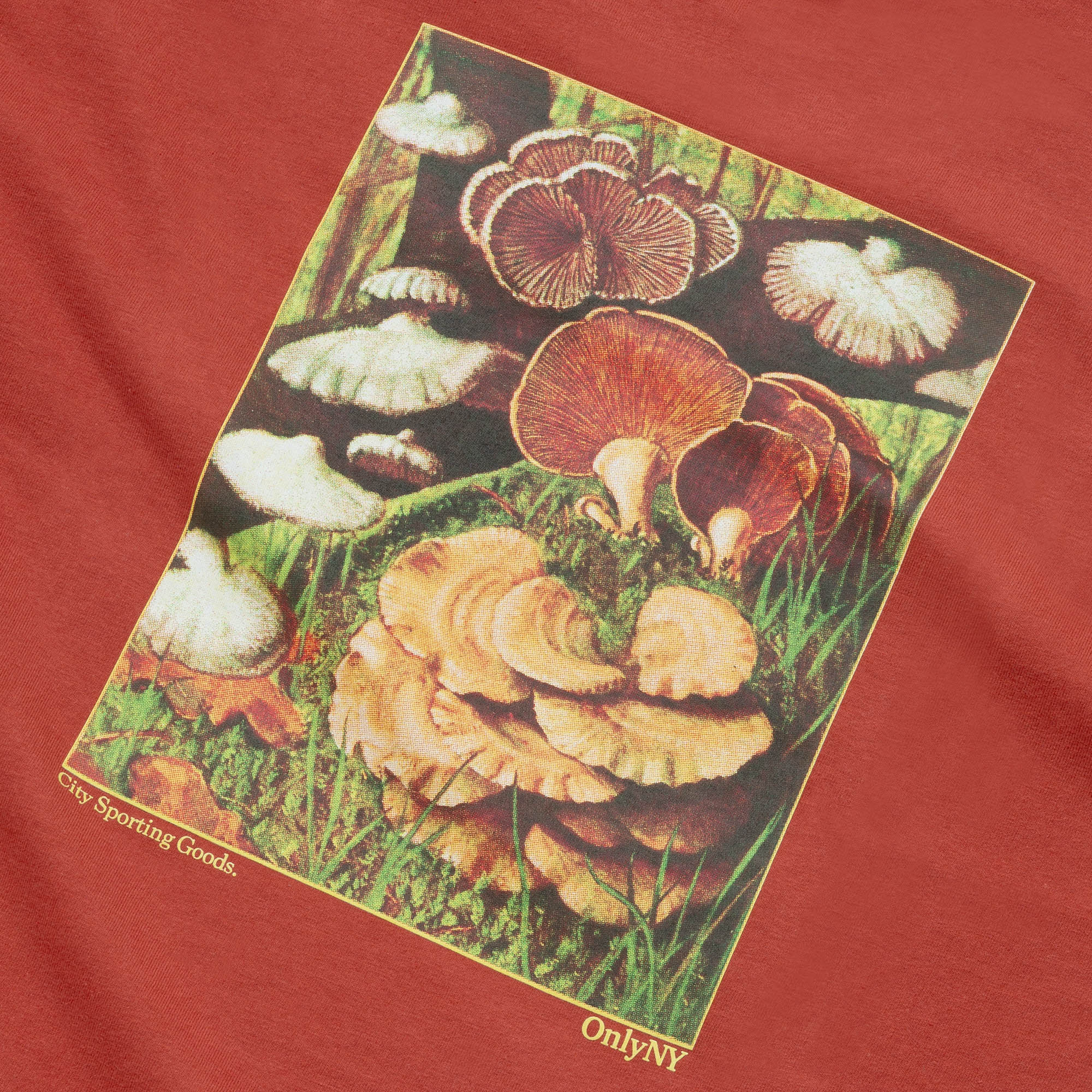 Fungarium Long Sleeve T-Shirt - Image 10