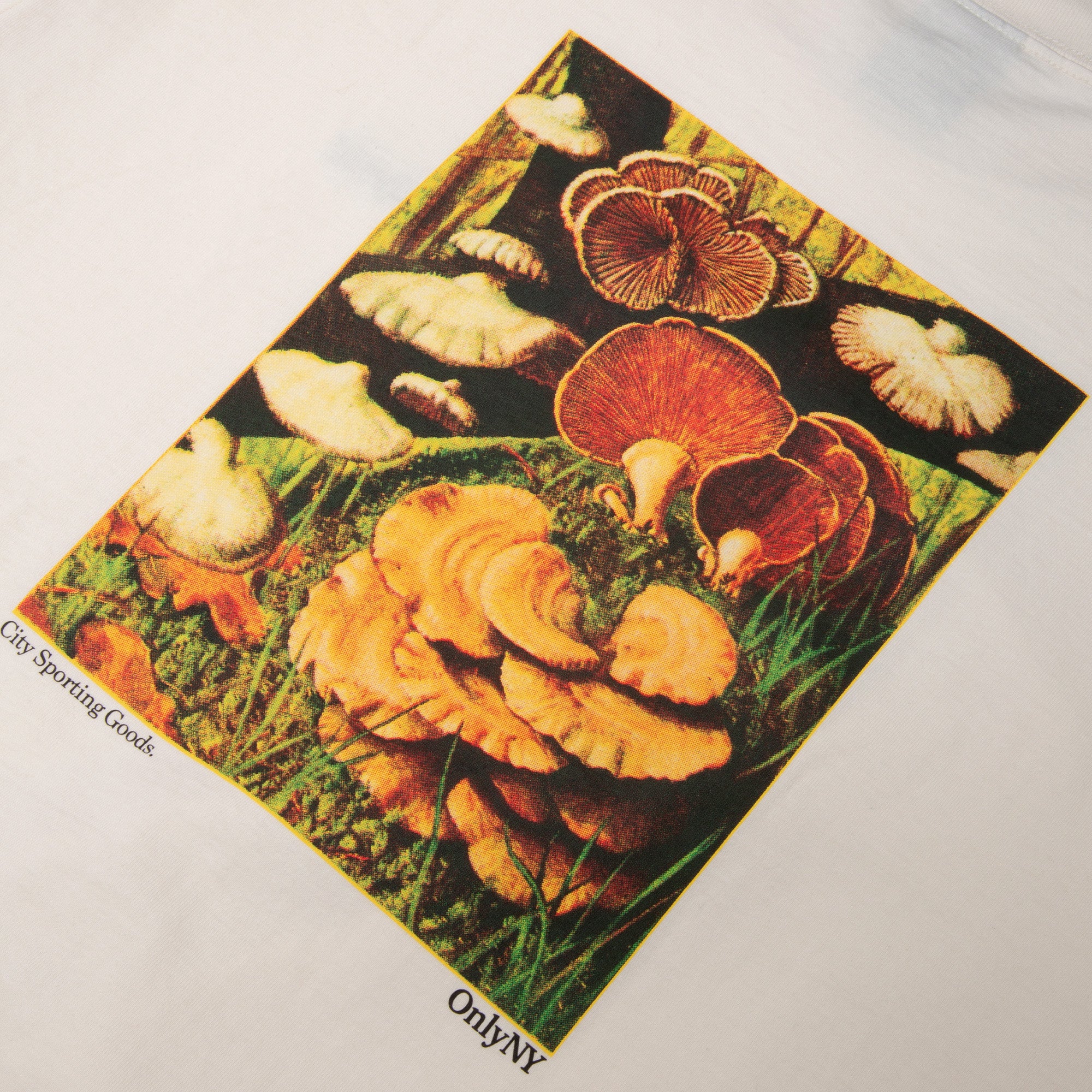 Fungarium Long Sleeve T-Shirt - Image 4