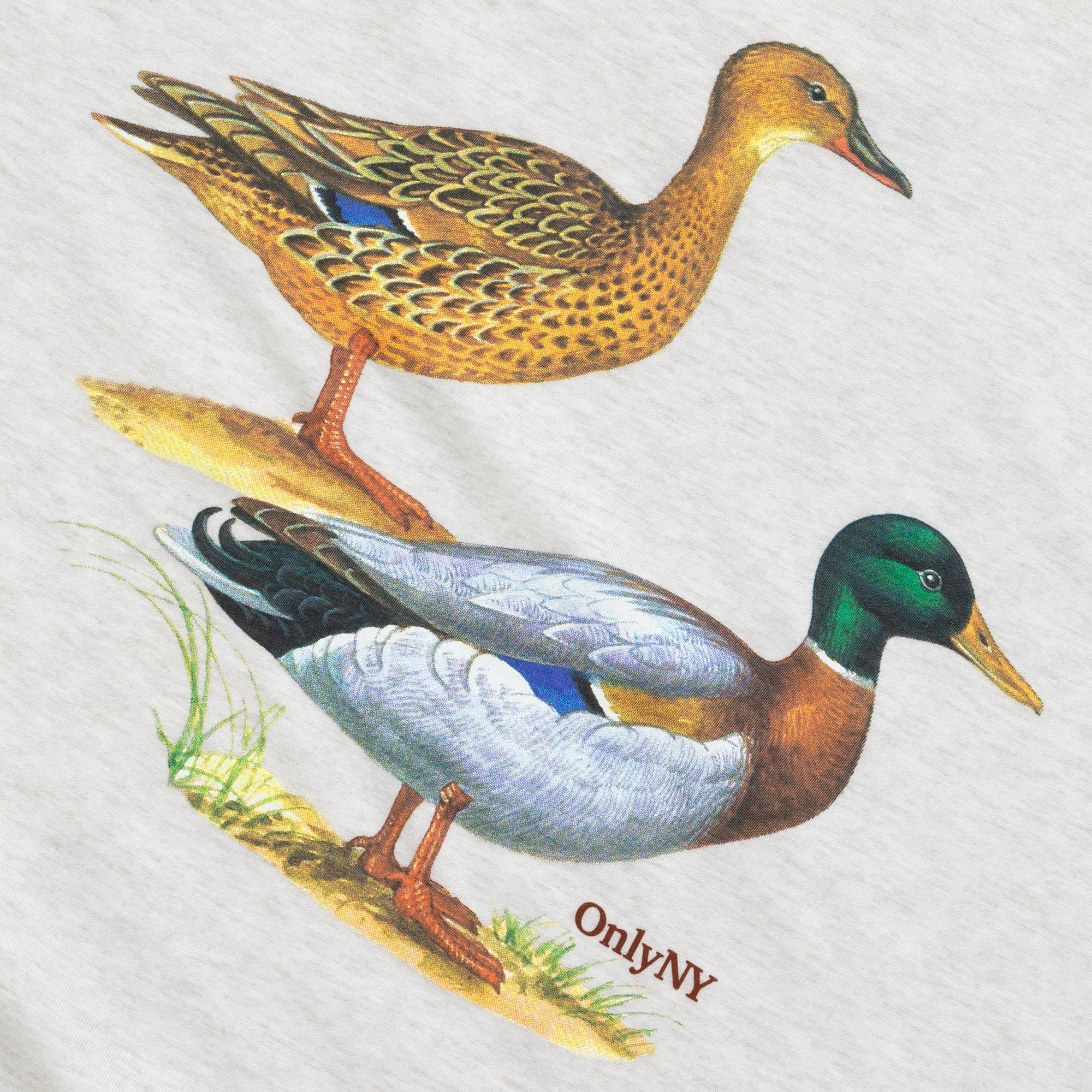 Mallards T-Shirt - Image 3