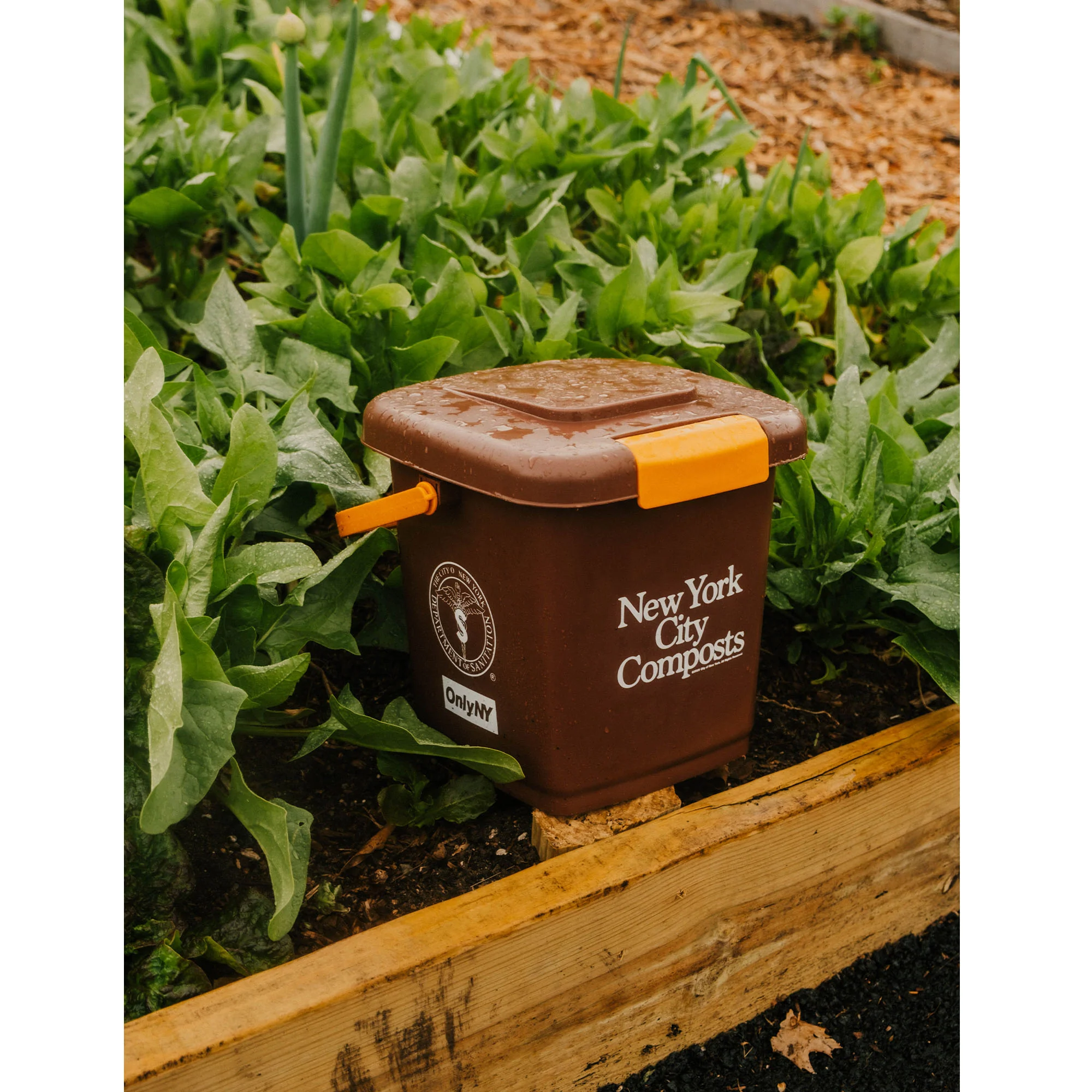 DSNY Tabletop Compost Bin - Image 6