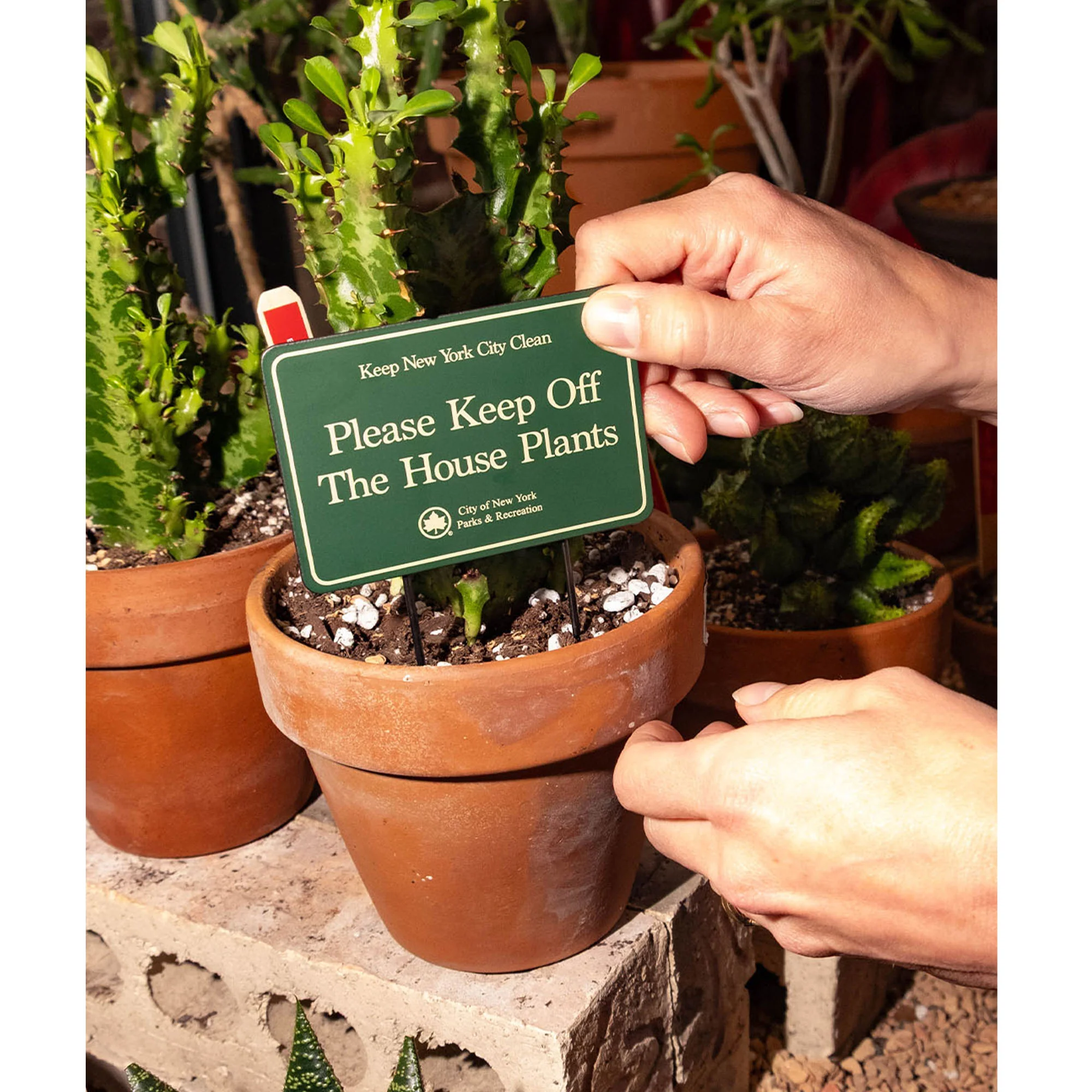 NYC Parks Mini Planter Sign - Image 2